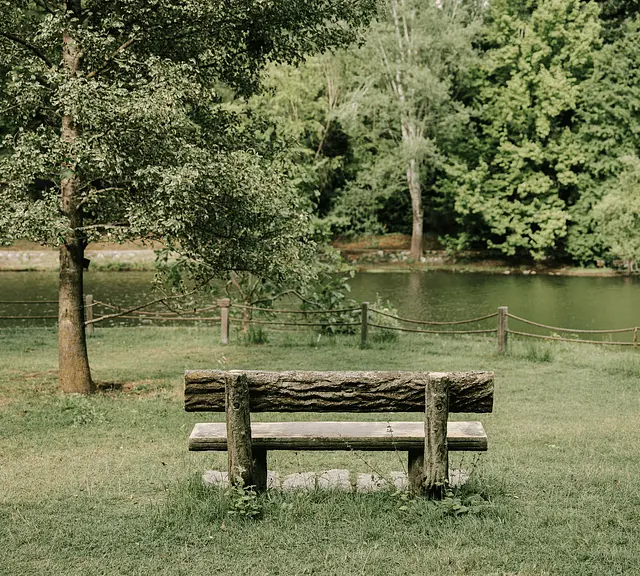 A wooden bench beside a pond, framed by green trees
